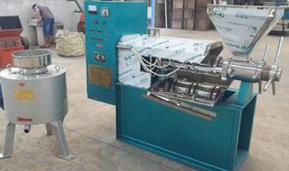 花生油榨油机多少钱