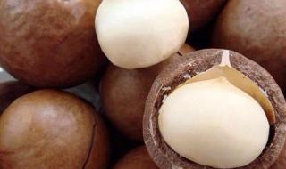 夏威夷果产自哪里 夏威夷果产自哪里