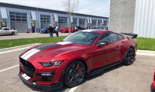 福特野马gt500价格