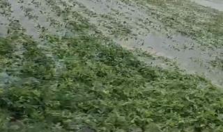 郑州暴雨后人间百态 郑州暴雨后人间百态