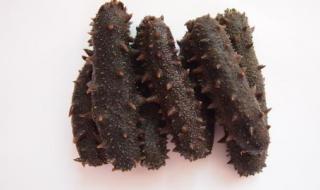 怎么挑海参 怎么挑海参