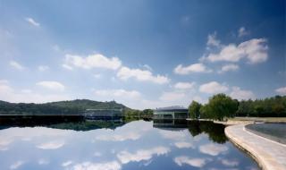 万人相亲会 万人相亲会