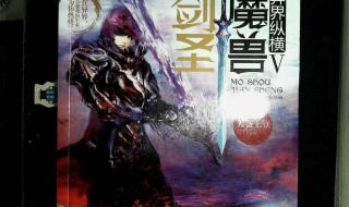 魔兽剑圣异界纵横小说 魔兽剑圣异界纵横小说