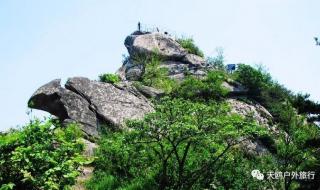 5.1高速免过路费几天