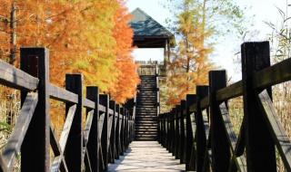 三观不合都是哪三观