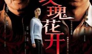 寇世勋主演的电视剧 寇世勋主演的电视剧