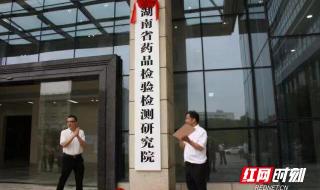 事业单位改革试点