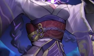 原神反雷电将军特训 原神反雷电将军特训