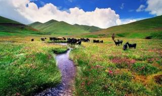 一滴水只有融入大海 一滴水只有融入大海