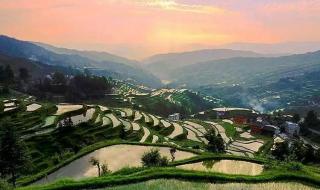 4月21号是什么节日