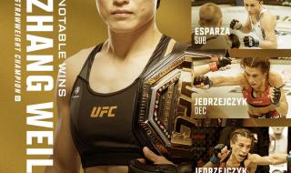 ufc终极格斗冠军赛 ufc终极格斗冠军赛