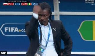 世界杯非洲最好成绩 世界杯非洲最好成绩